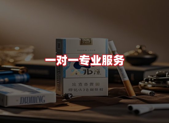 专业团队